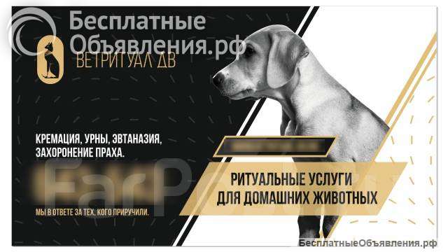 Центр Кремации Животных. Ритуальные услуги для животных "ВетРитуал ДВ" в Хабаровске