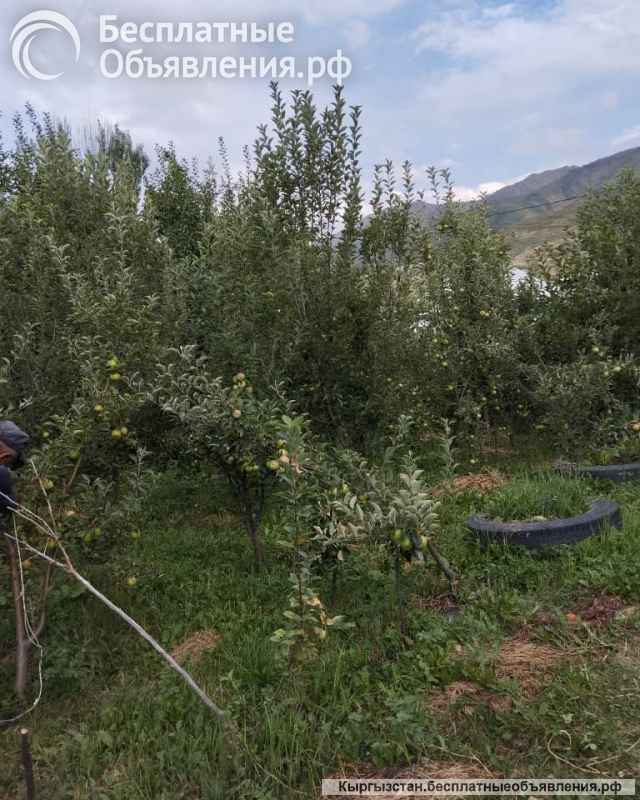Дом, 4 комнаты, участок 8,5 соток, с. Воронцовка, б/п