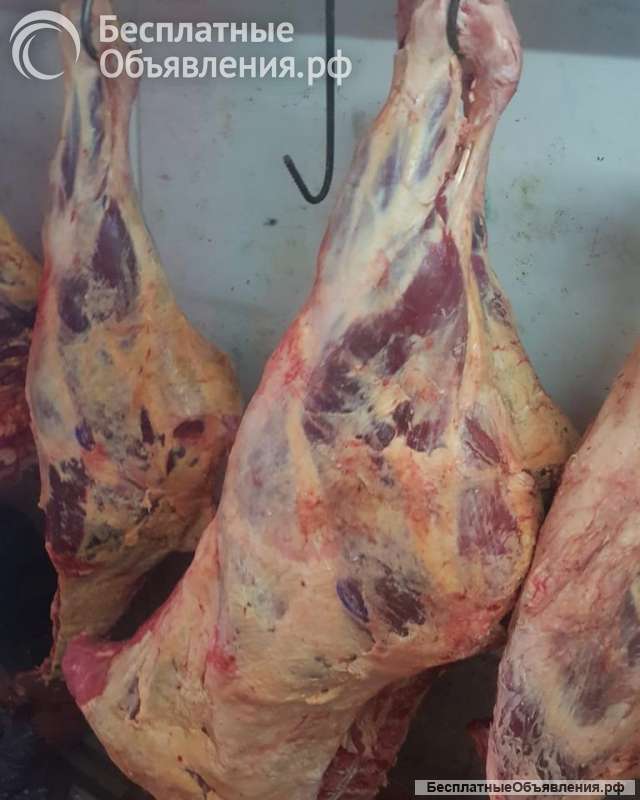 Мясо свинина, говядина, индейка оптовые поставки из Бразилии, CIF