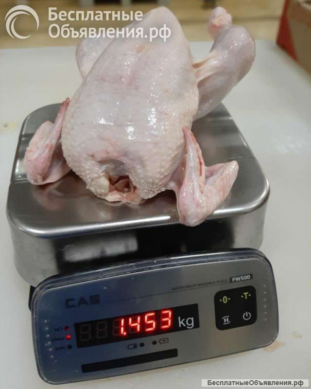 Куриное мясо оптовые контрактные поставки импорт CIF