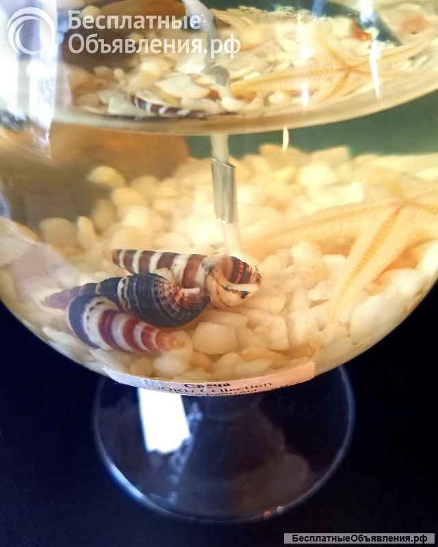 Свеча ароматическая Bоru Cоllеction Нидерланды