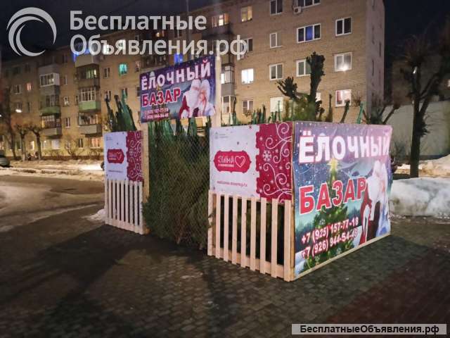 Живые новогодние ели в Серпухове, Чехове, Протвино
