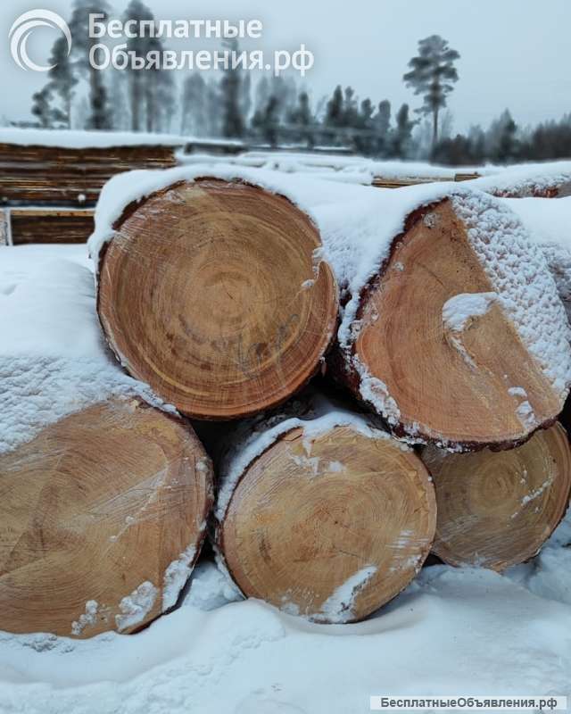 Кедр кругляк, лафет продаж оптом Лесосибирск