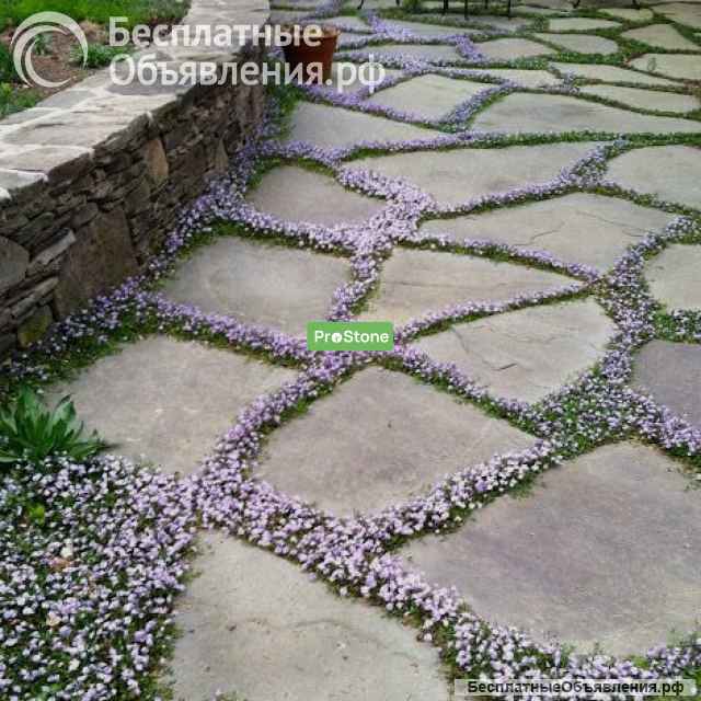 Камень плитняк (песчаник) природный для садовой дорожки, для террасы, для альпийских горок
