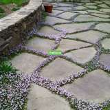 Камень плитняк (песчаник) природный для садовой дорожки, для террасы, для альпийских горок