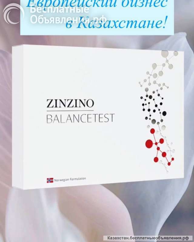 Успешный Европейский бизнес в Казахстане