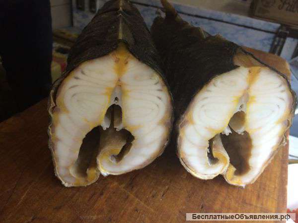 Рыба в осертементе и морские деликатесы