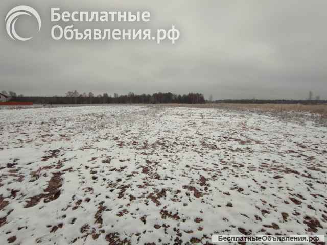 Участок 14 соток в д. Степково, вблизи г. Карабаново