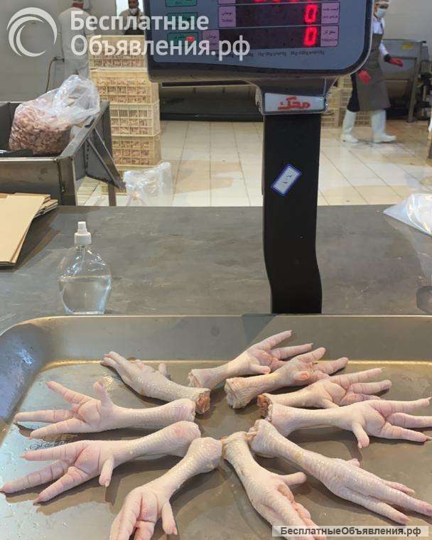 Куриные лапы на экспорт в Китай категории А (Feet) и А+(Paws)