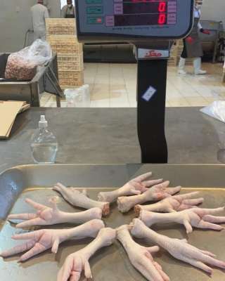 Куриные лапы на экспорт в Китай категории А (Feet) и А+(Paws)
