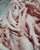 Куриные лапы на экспорт в Китай категории А (Feet) и А+(Paws)