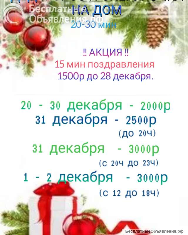 Дед мороз и снегурочка на дом