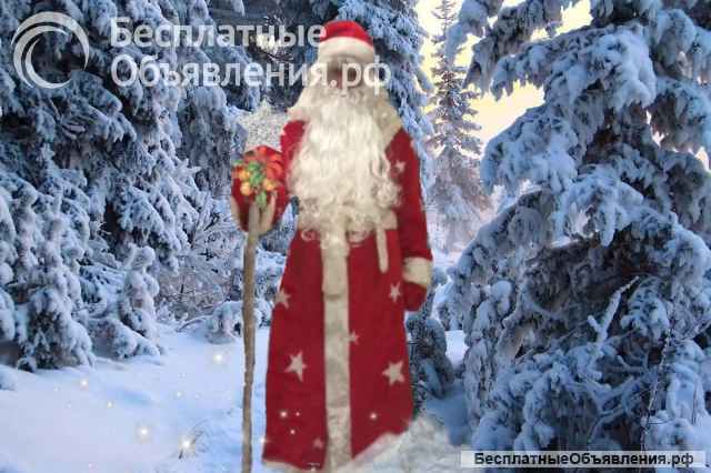 Дед мороз и снегурочка на дом