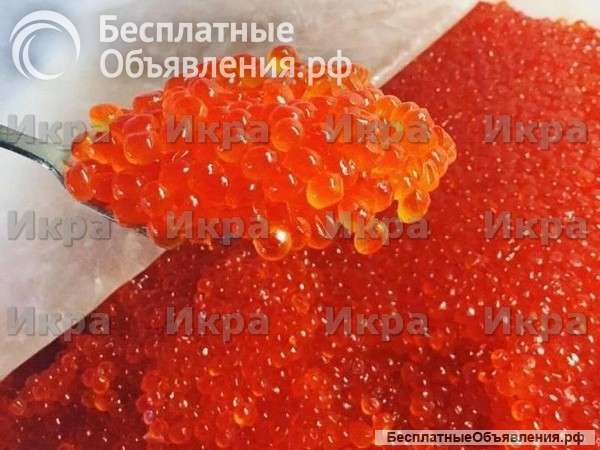 Икра красная
