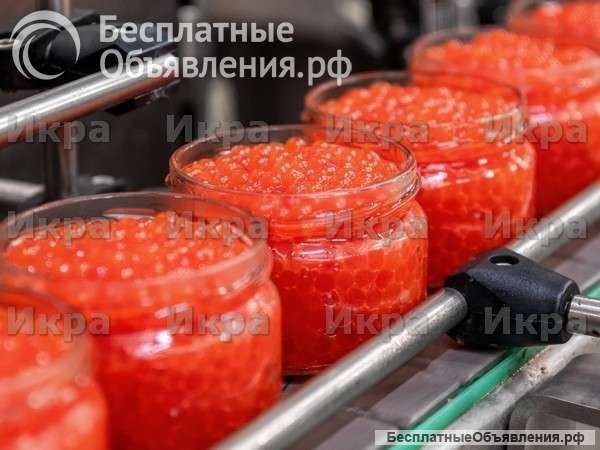 Икра красная