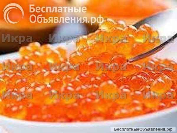 Икра красная