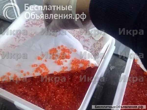 Икра красная