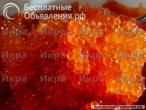 Икра красная
