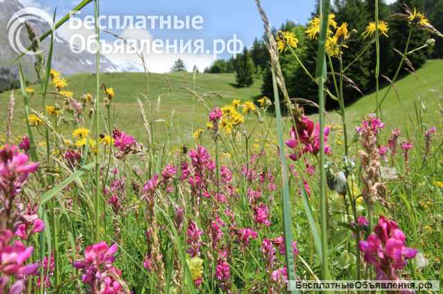 Швейцария, Лейкербад, Резиденция 4.5-03, роскошная 4,5-комнатная квартира в центре, СПА-зона