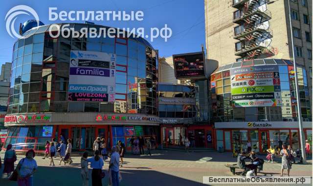 Аренда офиса 32,6 кв. м (метро Приморская)