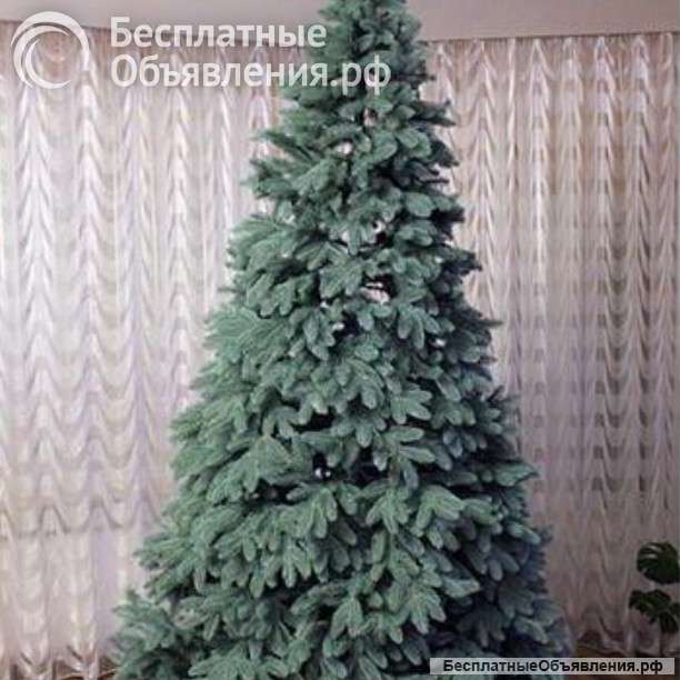 Ликвидация живых елей