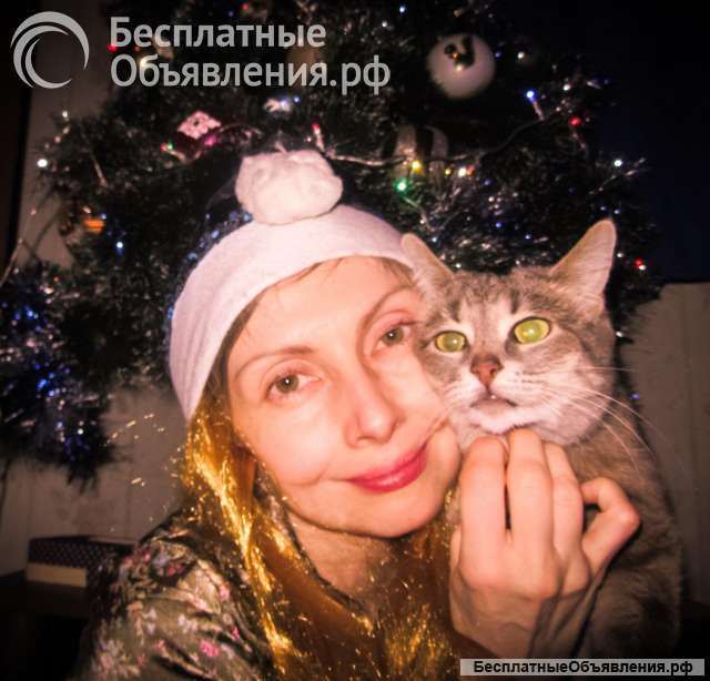Передержка собак мелких пород и кошек