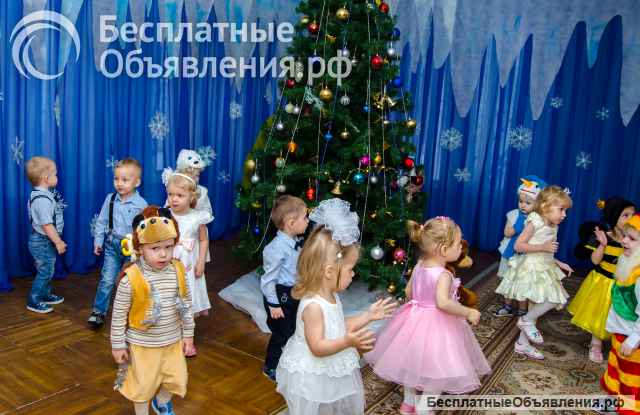 Видеооператор на новогодний утренник, фото группы, портрет, открытки, календарь