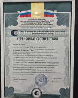 Парапсихолог, экстрасенс, медиум, целитель, мастер Рэйки