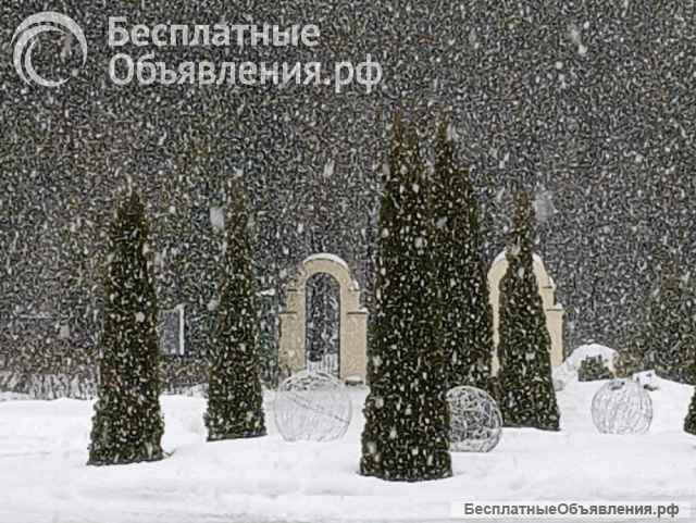 Санаторий Красный Бор приглашает на отдых и лечение