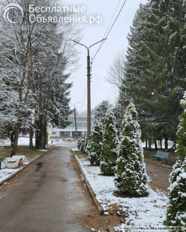 Санаторий Красный Бор приглашает на отдых и лечение