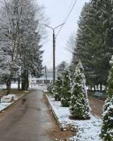 Санаторий Красный Бор приглашает на отдых и лечение