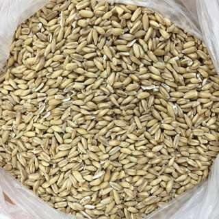 Отдам даром 20 мешков овсяной крупы