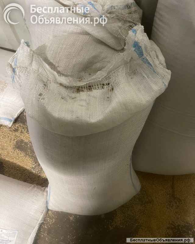 Отдам даром 20 мешков овсяной крупы