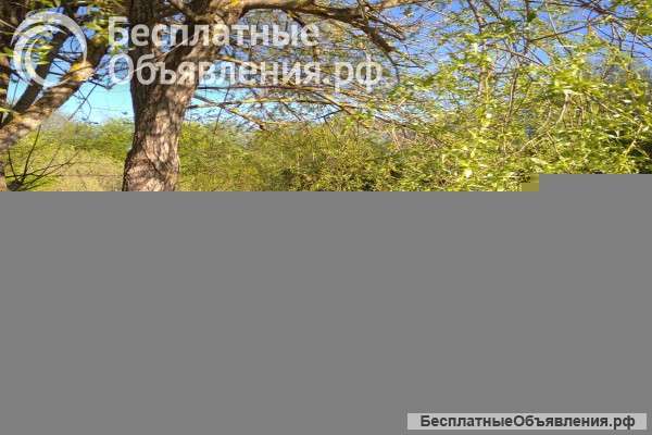 Студия для прописки иоформления гражданства РФ