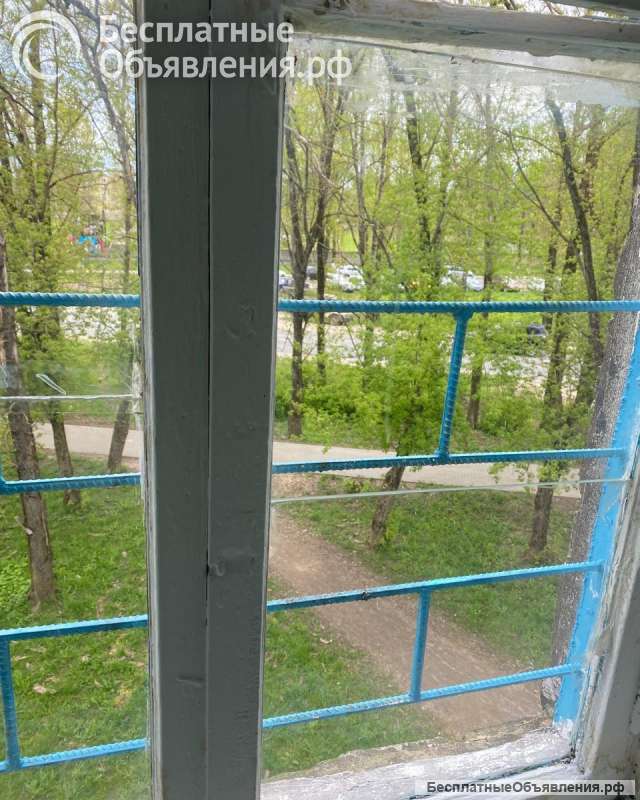 Студия для прописки иоформления гражданства РФ