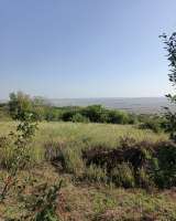 Дачный участок СНТ Надежда