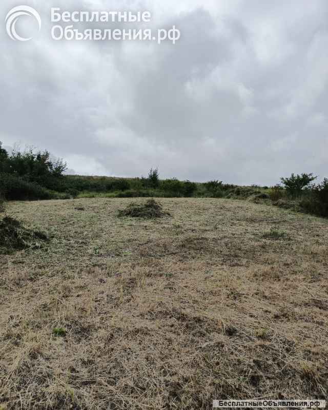 Дачный участок СНТ Надежда