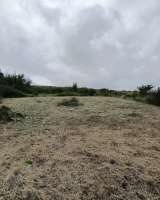 Дачный участок СНТ Надежда