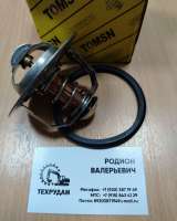 65.06402-5015, 300738-00084 Термостат DB58TIS