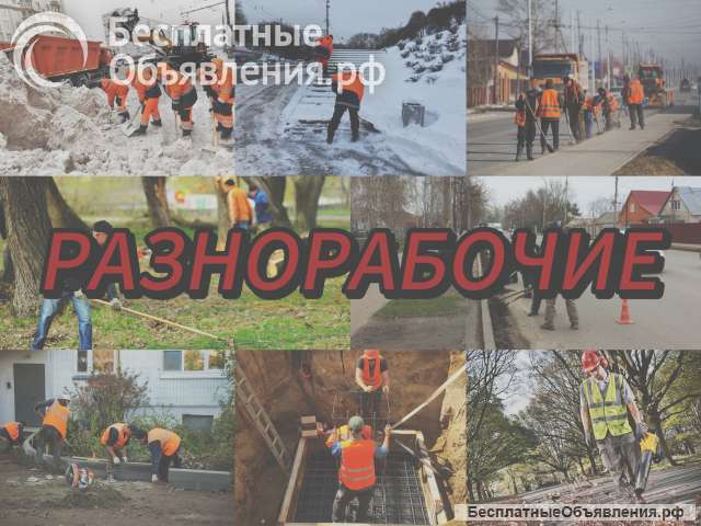 Разнорабочие