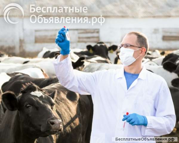 Ветеринарные консультации и монтаж электрики и механики на сельскохозяйственных объектах