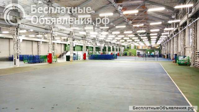 Аренда помещения свободного назначения