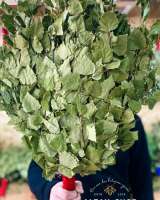 Погрузитесь в атмосферу настоящего банного отдыха с нашей качественной атрибутикой