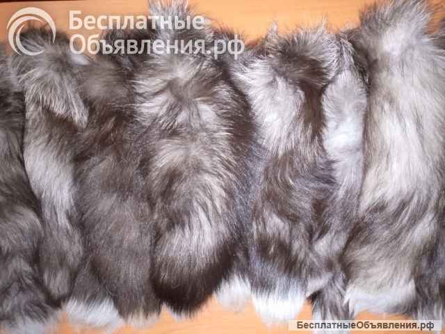 Натуральные меховые хвосты в ассортименте