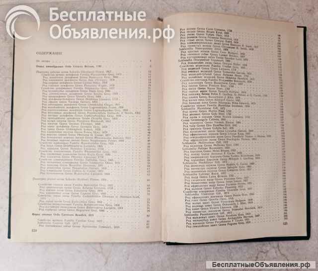 Соколов В.Е. Систематика млекопитающих ч.3, 1979 г