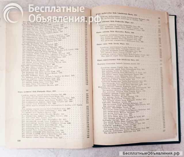 Соколов В.Е. Систематика млекопитающих ч.3, 1979 г