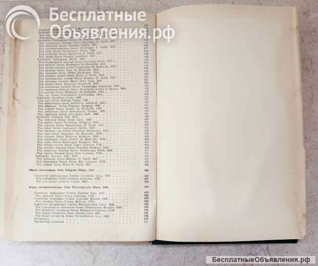 Соколов В.Е. Систематика млекопитающих ч.3, 1979 г