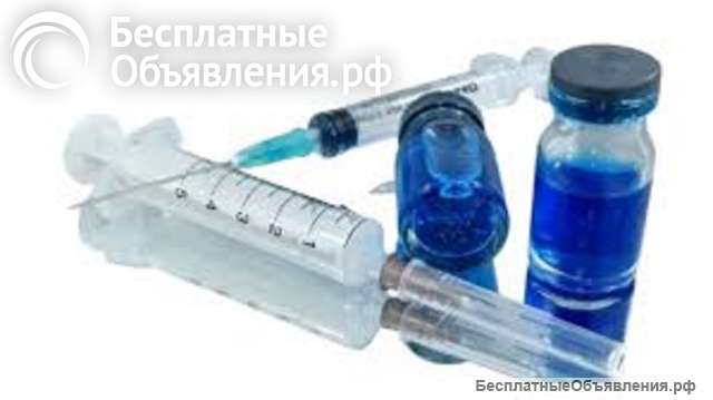 Гуманное усыпление (эвтаназия) домашних животных в Оренбурге