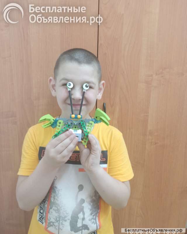 Робототехника