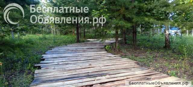 Земля на берегу озера